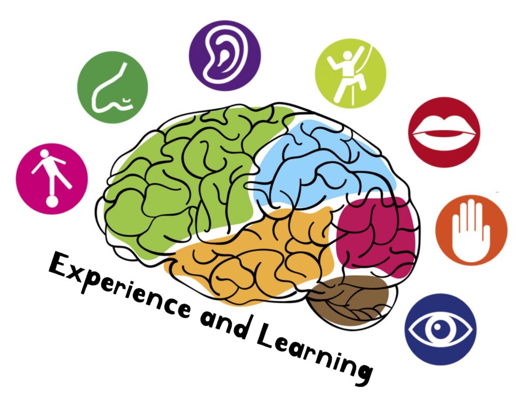 Experience and Learning